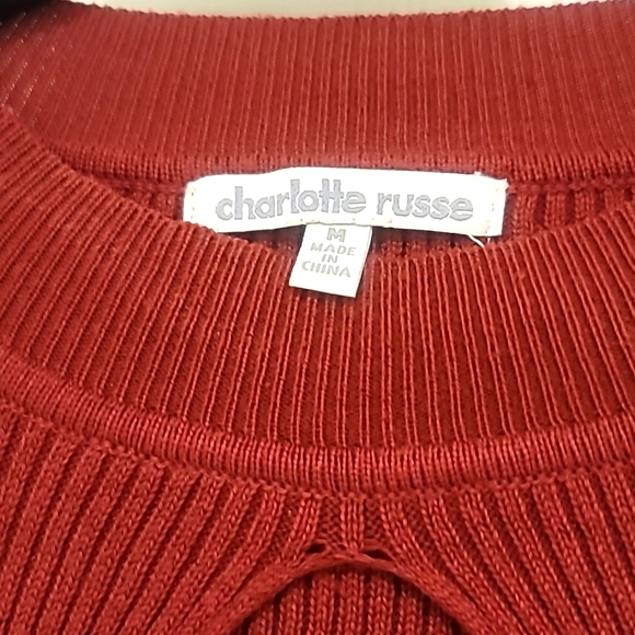 Burgundy Sweater Dress - Picture 3 of 3